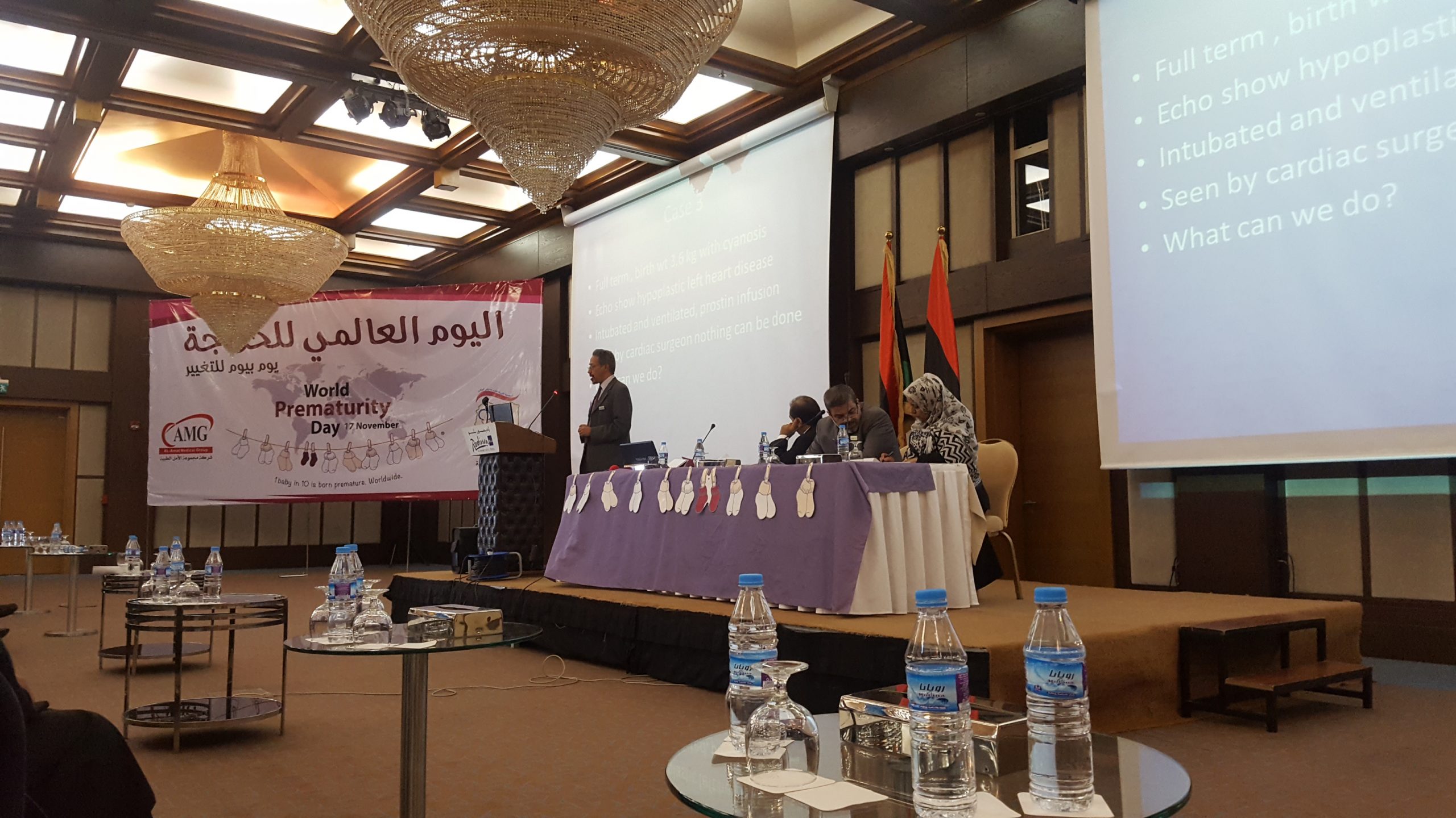 Scientific meeting on the World Prematurity Day November 17, 2017 at Radisson Blu Hotel Tripoli, Libya
